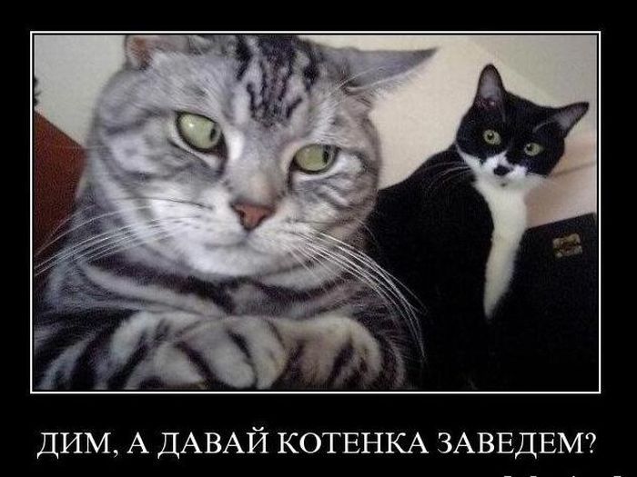 4743317_demotivatry_12 (700x525, 60Kb)