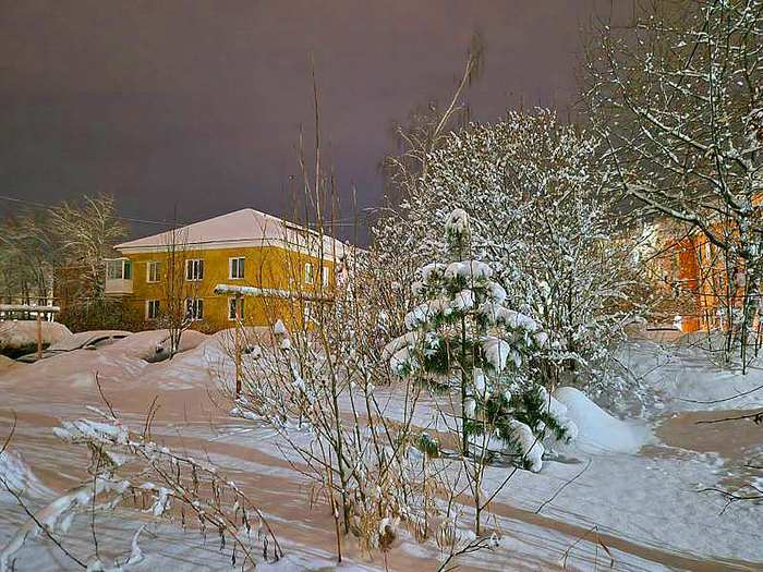 IMG-20250112-WA0017 (700x525, 529Kb)
