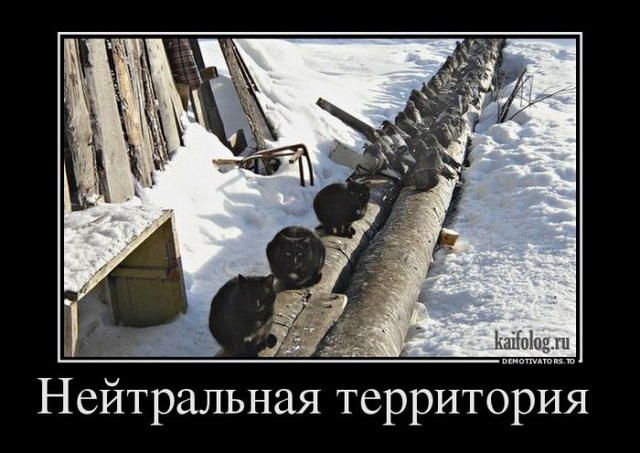 4743317_1449570050_009 (640x453, 74Kb)