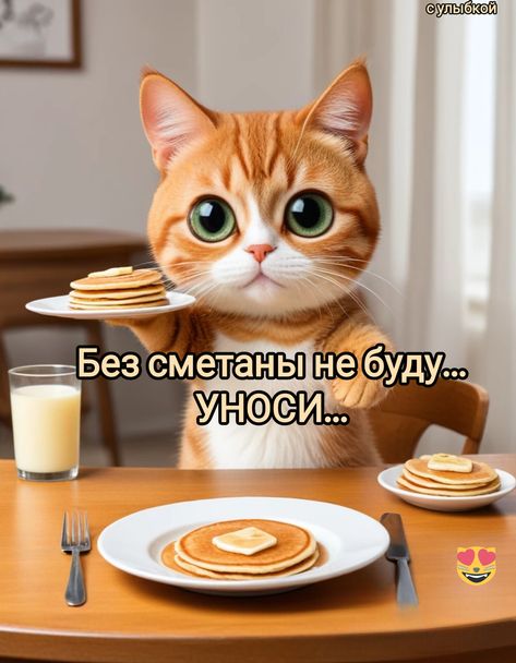 4743317_7708ce3f4ceaa6918b984d5b3fd8b7c4 (473x608, 44Kb)