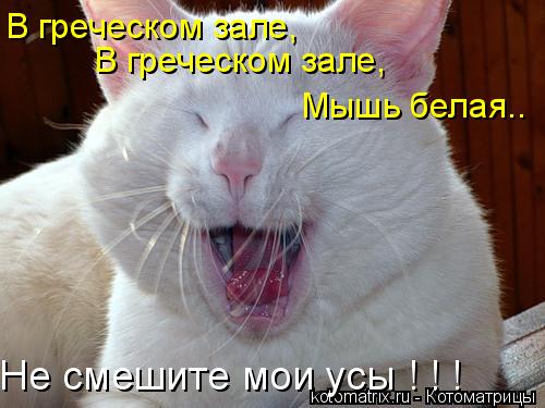 4743317_mG (500x375, 36Kb)