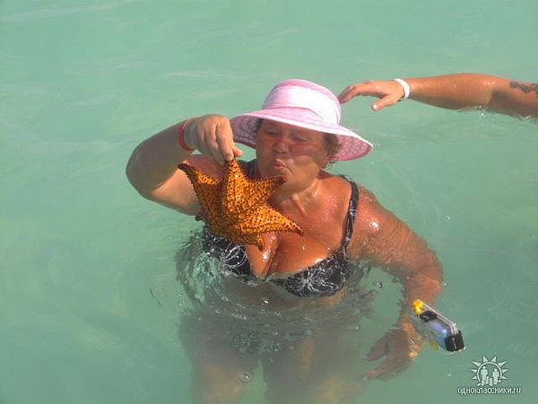 image (19) (600x450, 117Kb)