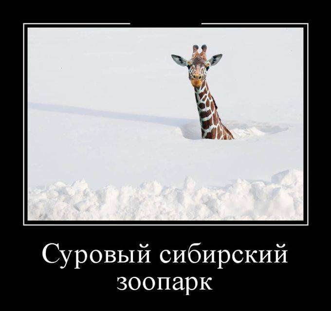 4743317_1441862356_30 (680x639, 28Kb)