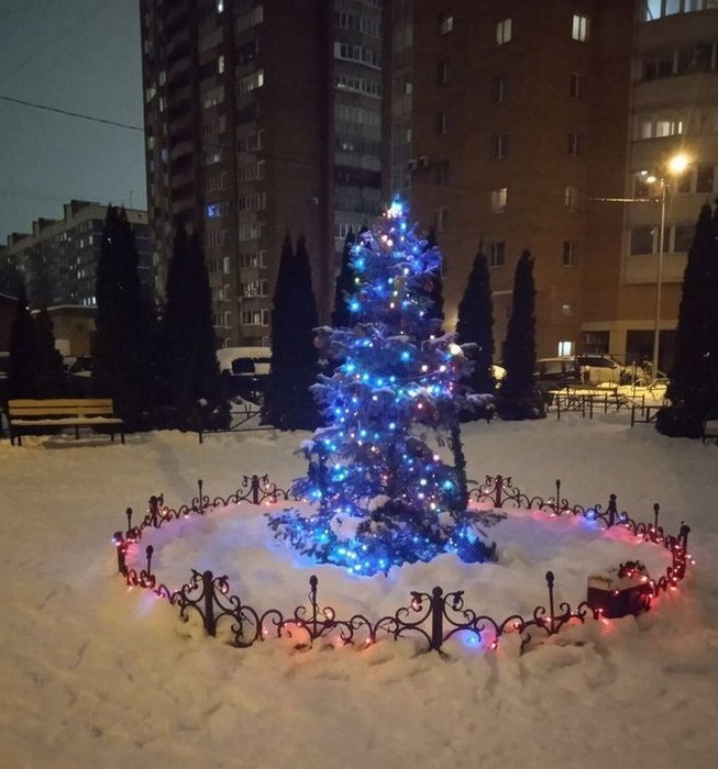 3109898_photo_20250112_203359_fot2 (653x700, 82Kb)