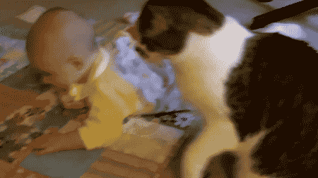 4743317_i21510 (450x253, 1017Kb)