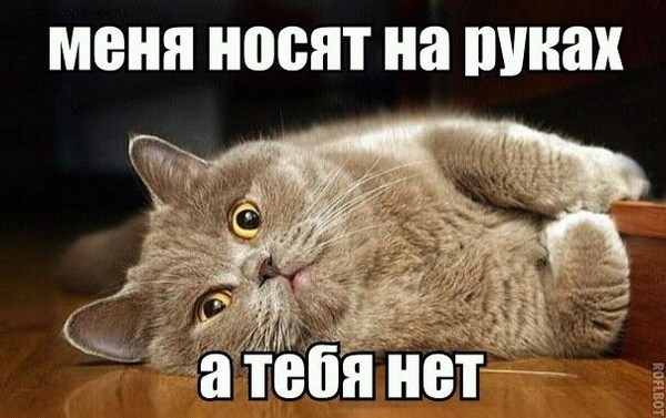 4743317_i3984 (600x377, 69Kb)