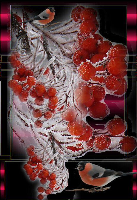 0 (462x672, 108Kb)
