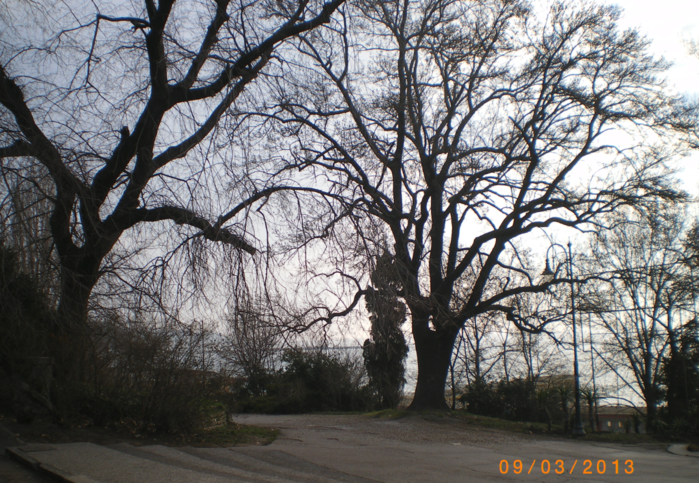 Screenshot 01-18-2025 11.45.38 (700x483, 784Kb)