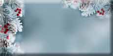 5539794_shishkivinee (230x114, 2Kb)