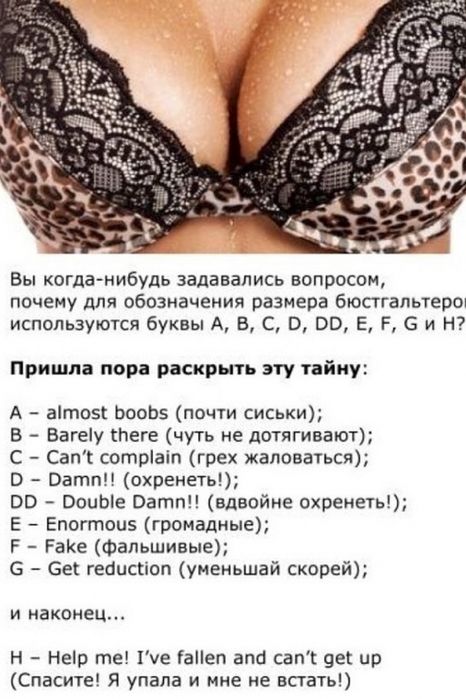4743317_image8sh (466x700, 210Kb)