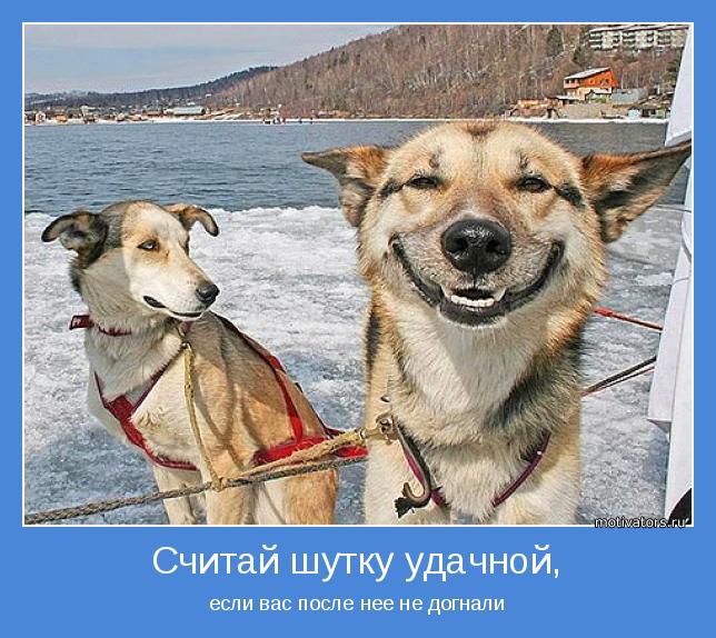 4743317_motivator37863 (644x574, 79Kb)