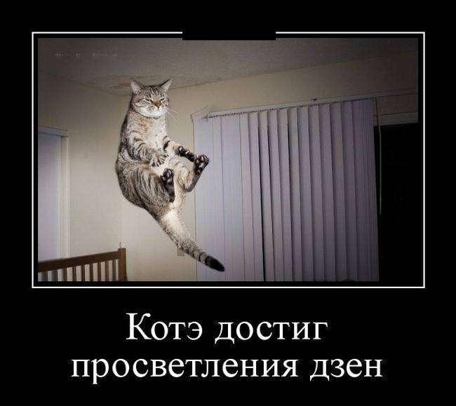 https://img0.liveinternet.ru/images/attach/d/4/163/632/163632402_4743317_1441862297_27.jpg