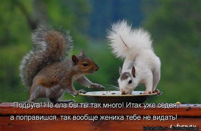 4743317_U_ (700x459, 45Kb)