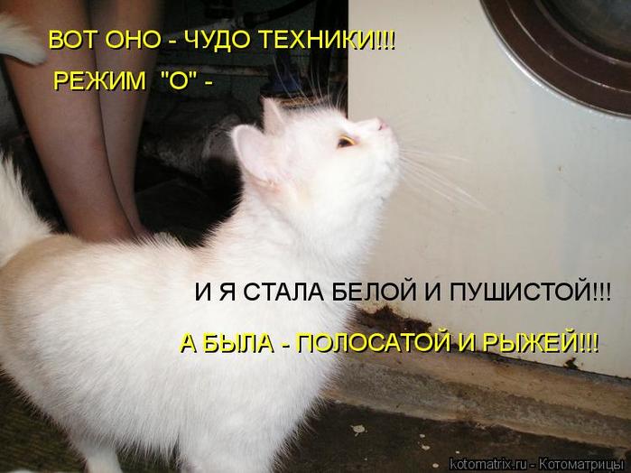 4743317_g (700x524, 49Kb)