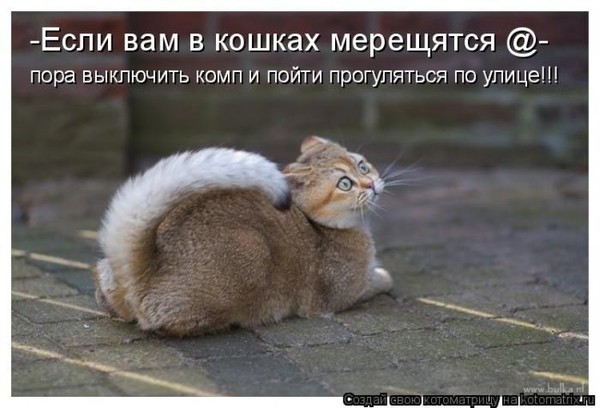 4743317_i21453 (600x408, 57Kb)