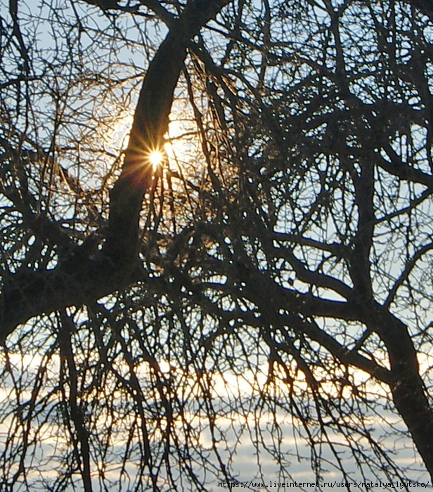 DSC02519 (616x700, 511Kb)