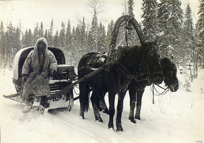  оссия  Кемский уезд Архангельской губернии, 1904 год (700x492, 445Kb)