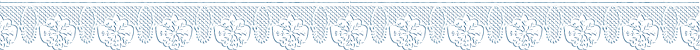 zimb2 (700x50, 62Kb)