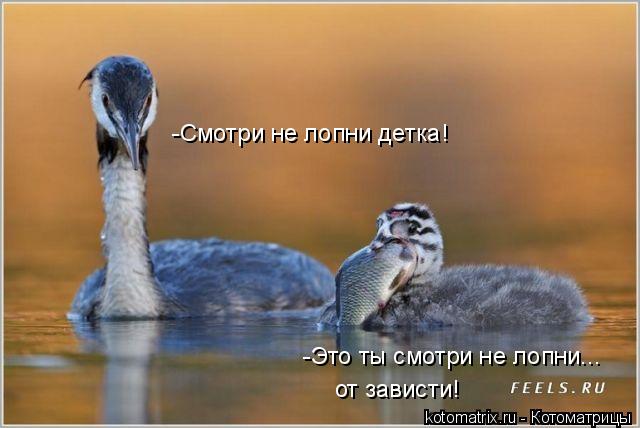 4743317_x6 (640x428, 35Kb)