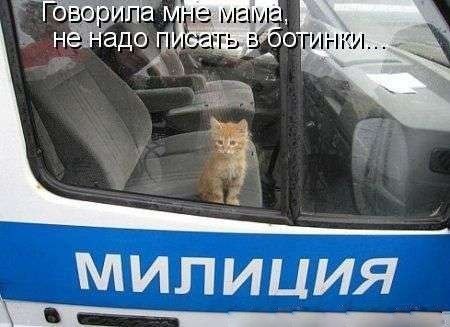 4743317_i21446 (450x327, 35Kb)