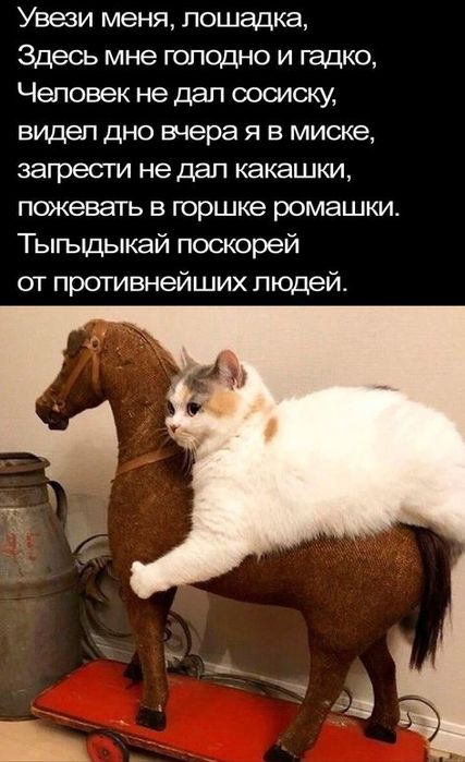 4743317_5699094b329ed4767c17ca979342984a (427x700, 54Kb)