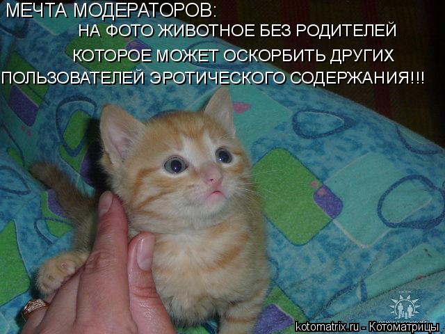 4743317_2g (640x480, 58Kb)