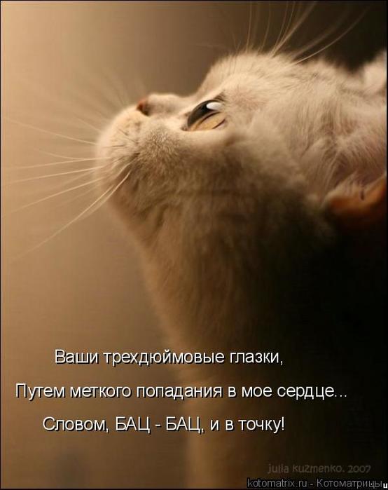 4743317_ln (554x700, 36Kb)