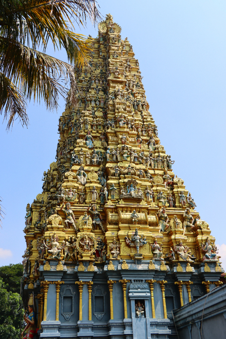 IMG_1635 (466x700, 547Kb)