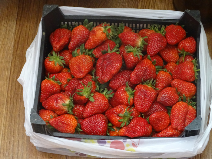 DSC00855 (700x525, 507Kb)