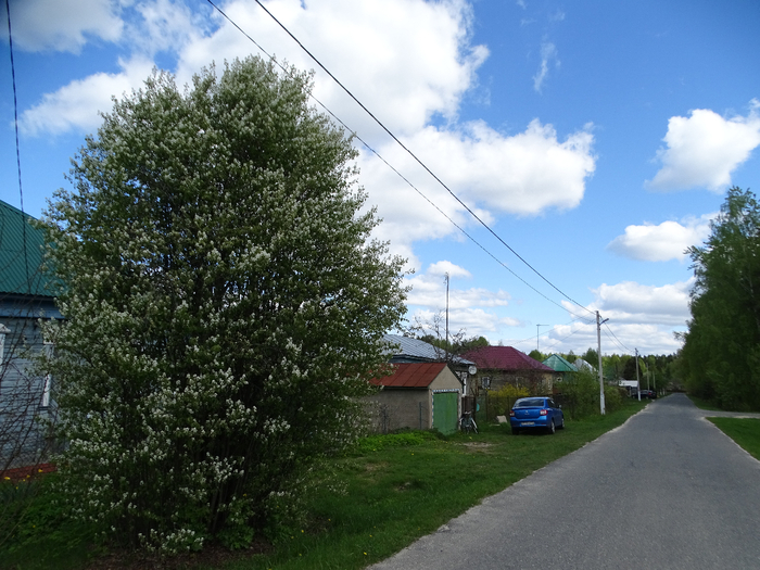 DSC00093 (700x525, 433Kb)