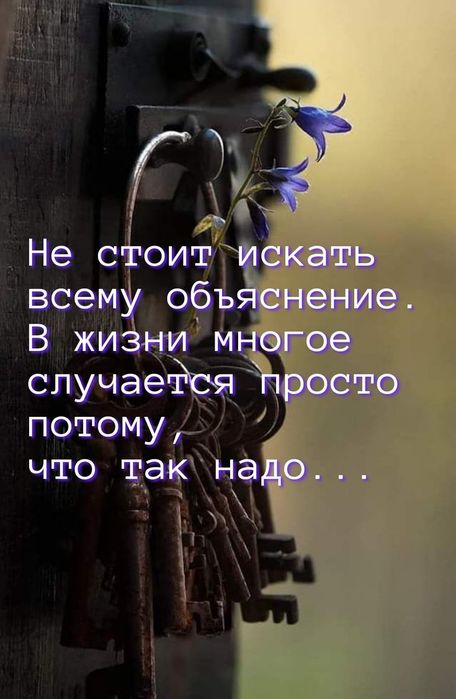 9d554aa2111c7b657544a86641f17bbc (456x700, 49Kb)