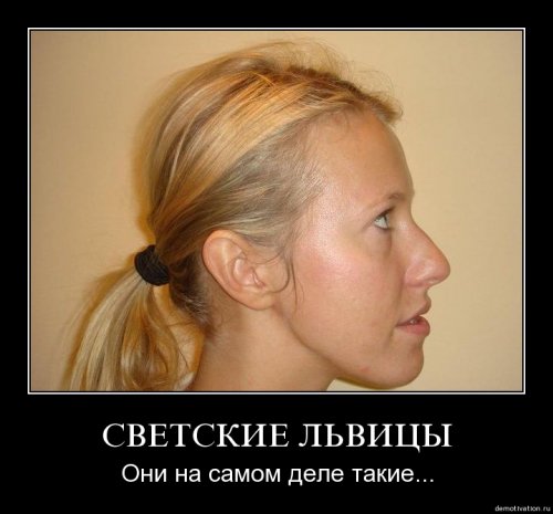 4743317_1251281173_160 (500x465, 30Kb)