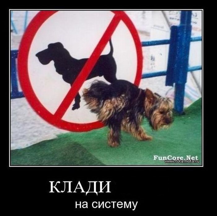 4743317_demotivatiry_51 (700x697, 98Kb)