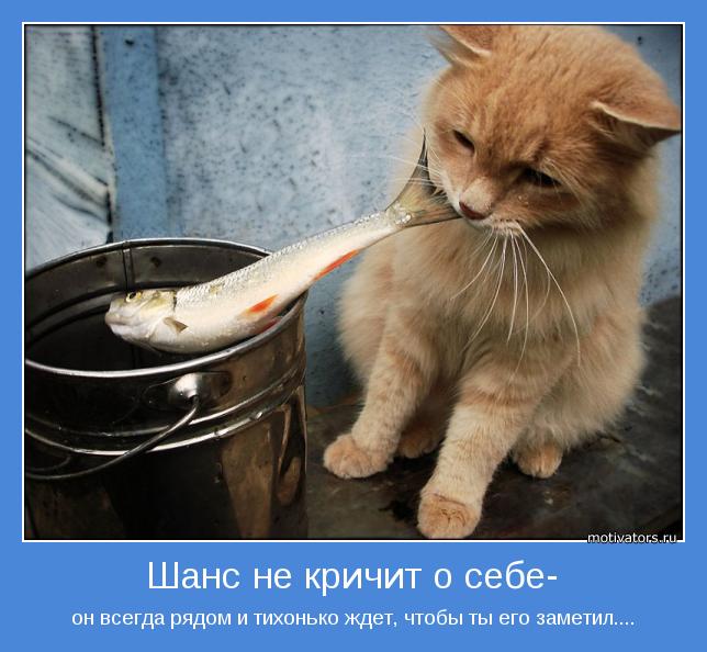 4743317_motivator15212 (644x594, 54Kb)