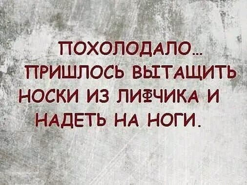 https://img0.liveinternet.ru/images/attach/d/4/163/658/163658598_3416556_382818747_848191910186118_2236276998546350938_n.jpg