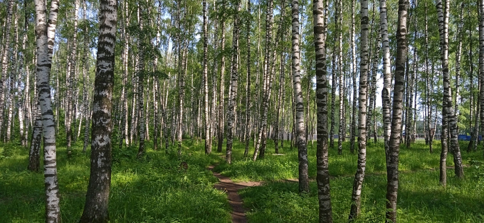 1685526833811 (700x322, 342Kb)