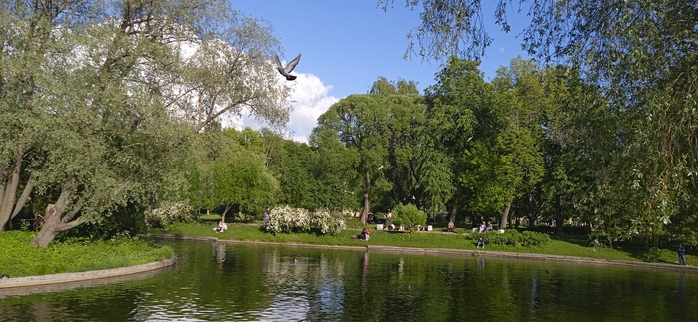 1685526833212 (700x322, 318Kb)