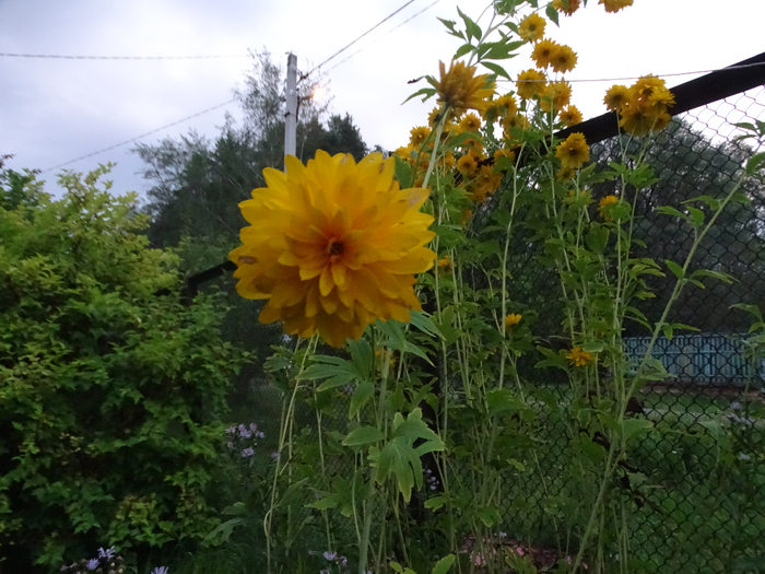 DSC00957 (700x525, 433Kb)