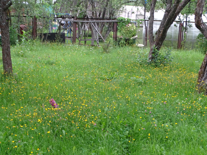 DSC00006 (700x525, 601Kb)