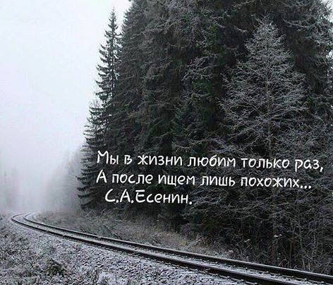 0385b5b6557f0d1ed0fc8a5a20e395db (472x403, 55Kb)