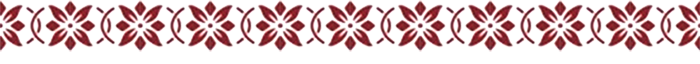 xzc (700x64, 14Kb)