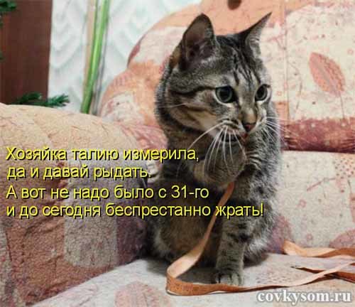 4743317_i21369_1_ (500x432, 42Kb)