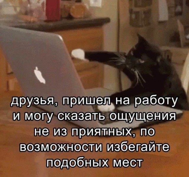 4743317_864eddebb0 (640x602, 70Kb)