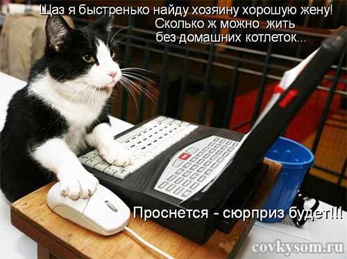 4743317_i21373 (500x373, 40Kb)