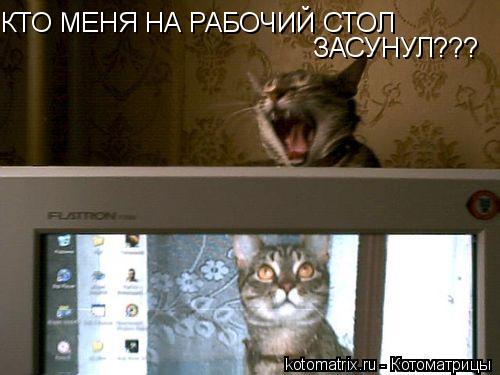 4743317_Zx (500x375, 31Kb)