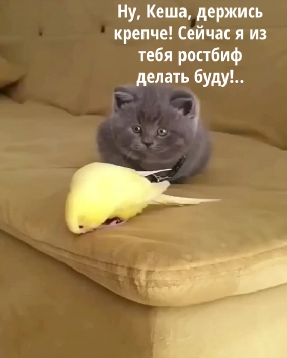 4743317_5de2465d (560x700, 155Kb)