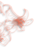 qGT3qauAgxd4 (134x187, 34Kb)