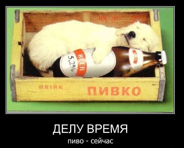 4743317_demotivatiry_37 (700x564, 57Kb)