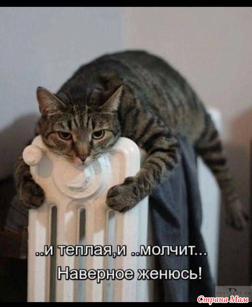 https://img0.liveinternet.ru/images/attach/d/4/163/677/163677344_3416556_27806885_58621thumb500.jpg
