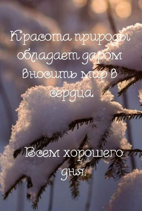 417a26cbfe4e4f830e7f496c99d5ac34 (473x700, 51Kb)